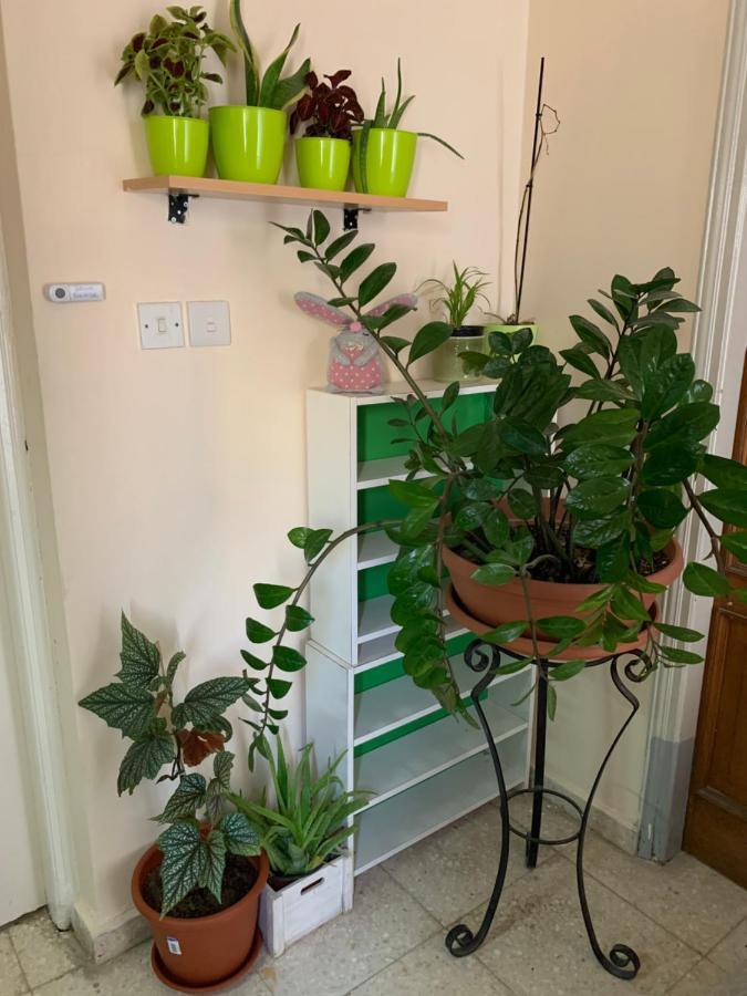 Mini Penthouse Larnaca Eksteriør billede
